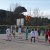 Voleibol